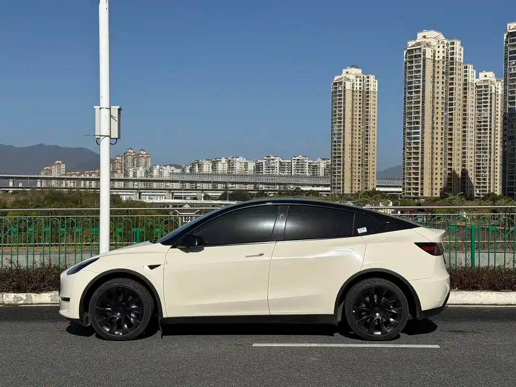 Tesla Model Y 2024 из CN, фото 6