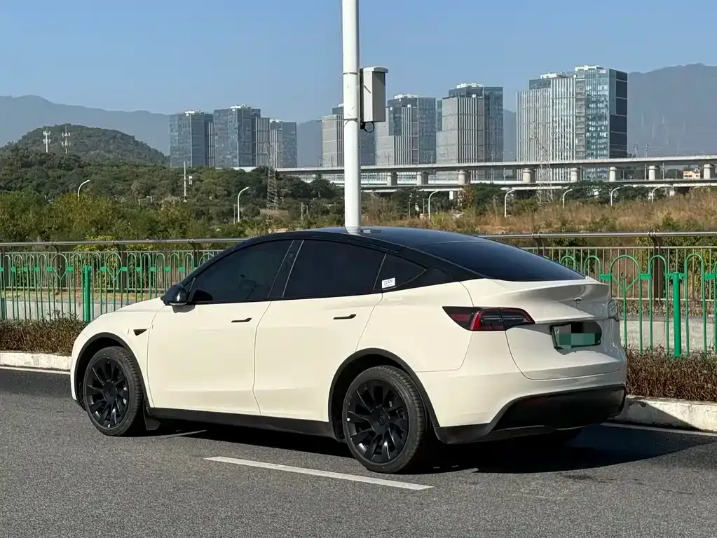 Tesla Model Y 2024 из CN, фото 7