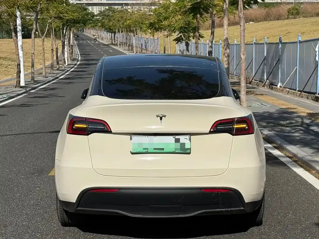Tesla Model Y 2024 из CN, фото 8
