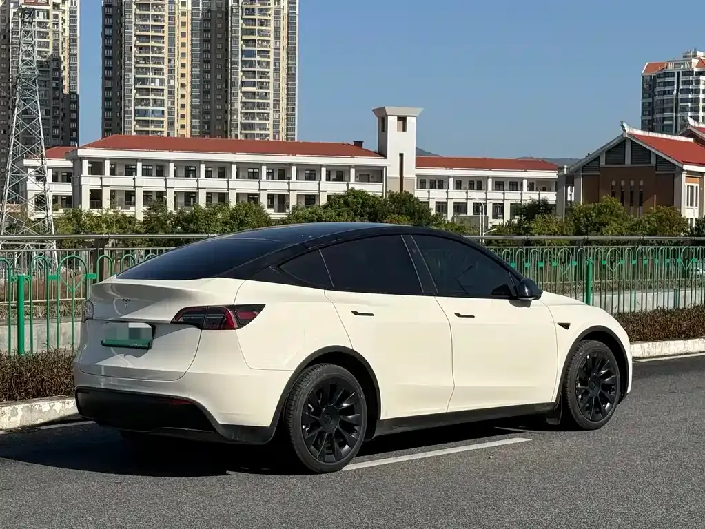 Tesla Model Y 2024 из CN, фото 9