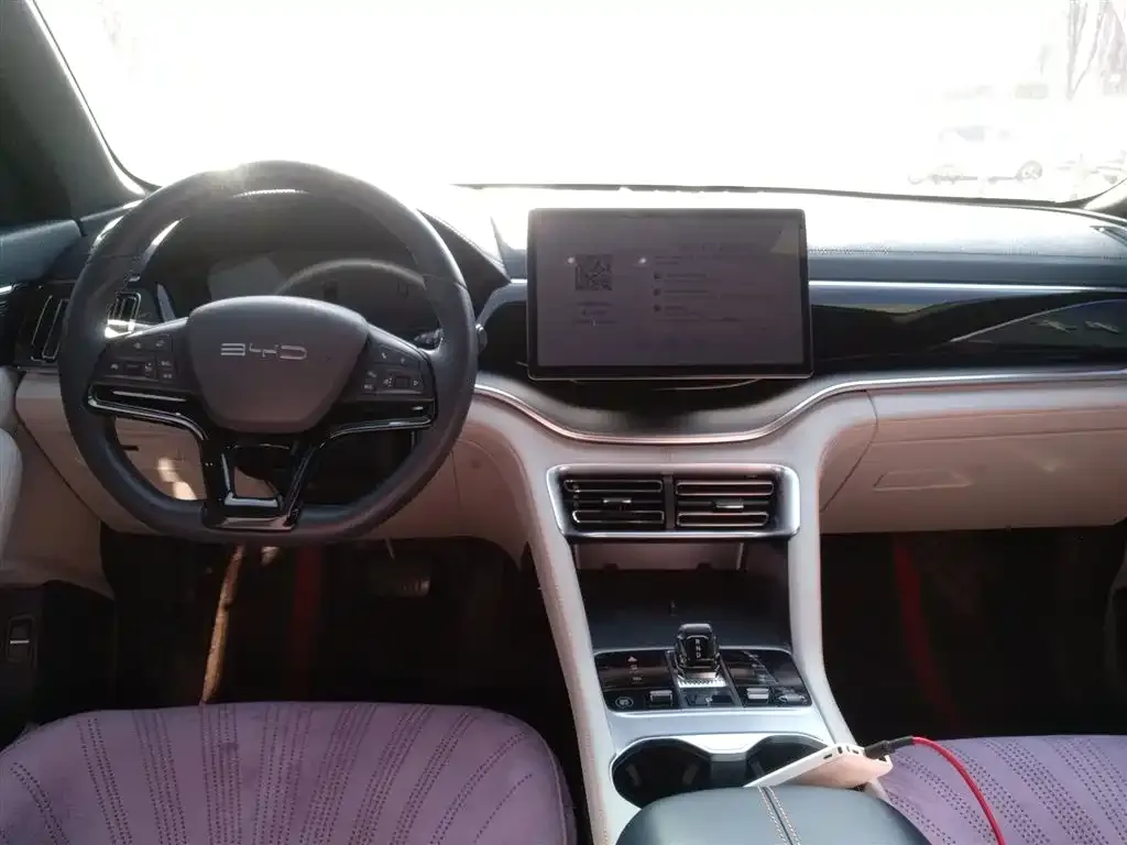 BYD PLUS New Energy 2024 из CN, фото 10