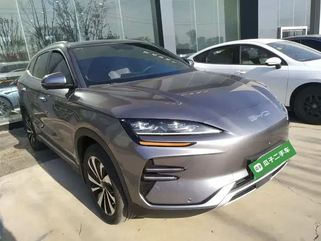 BYD PLUS New Energy 2024 из CN, фото 4