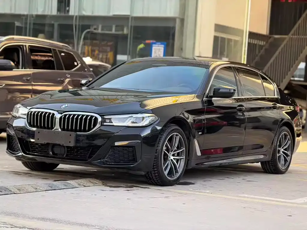 BMW 5 Series New Energy 2021 из CN, фото 1