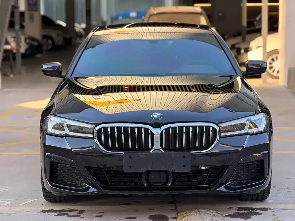 BMW 5 Series New Energy 2021 из CN, фото 3