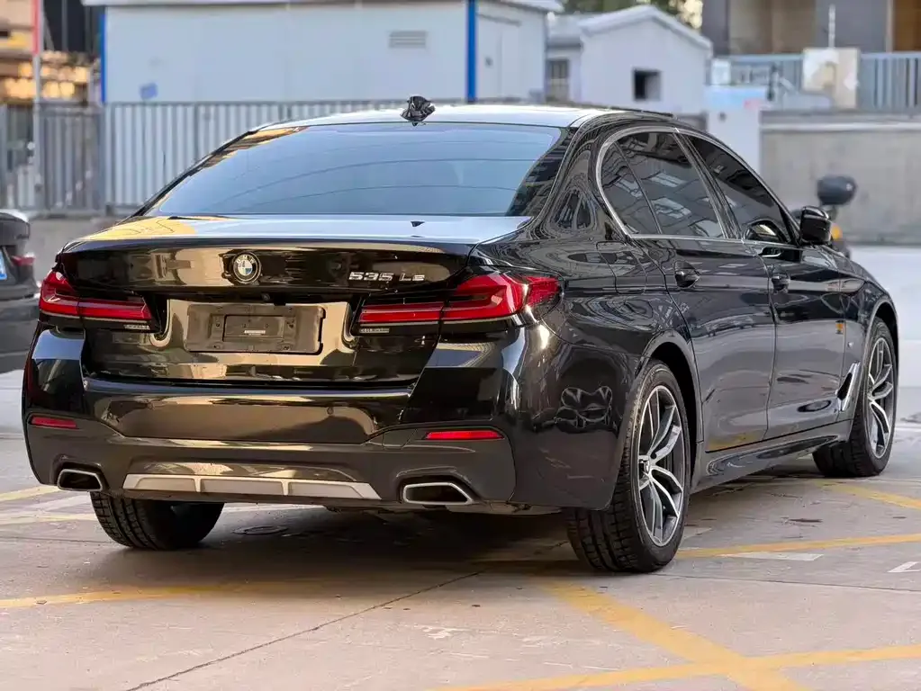 BMW 5 Series New Energy 2021 из CN, фото 5