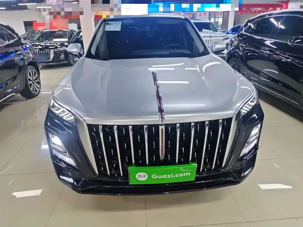Hongqi HS5 2023 из CN, фото 3