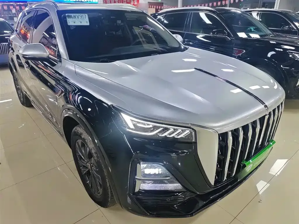 Hongqi HS5 2023 из CN, фото 4