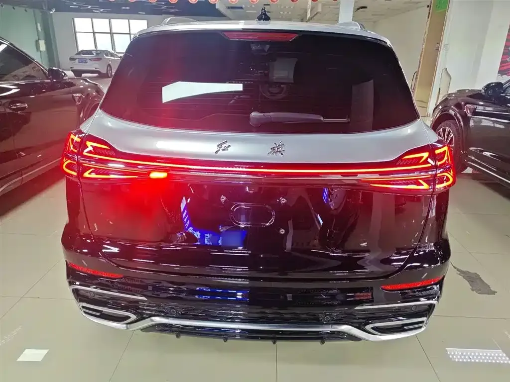 Hongqi HS5 2023 из CN, фото 6