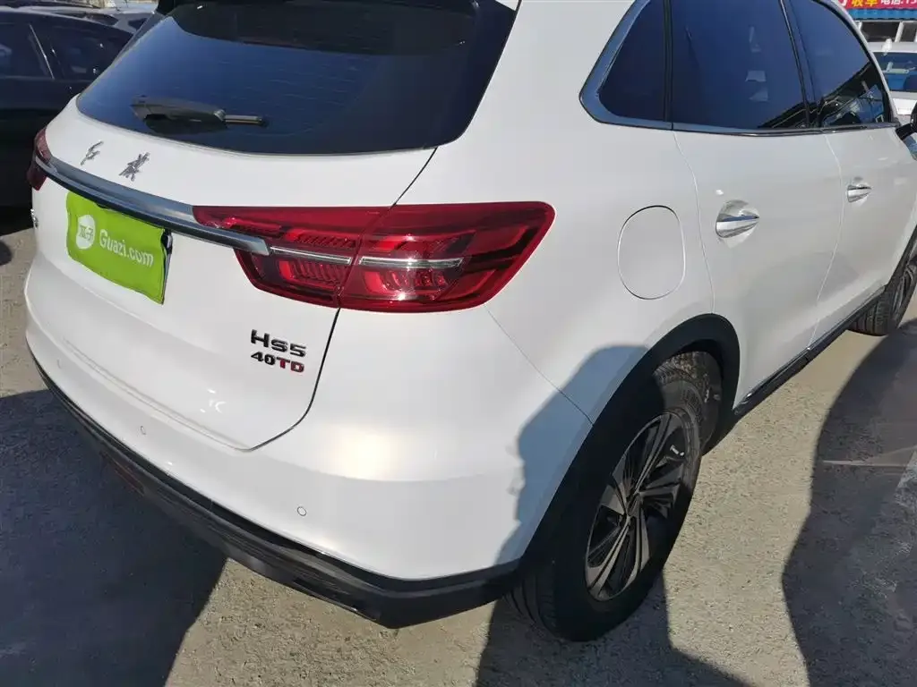 Hongqi HS5 2021 из CN, фото 8