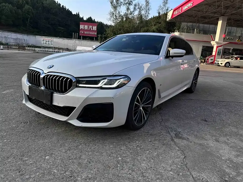 BMW 5 Series 2022 из CN, фото 1