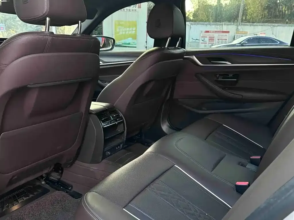 BMW 5 Series 2022 из CN, фото 3