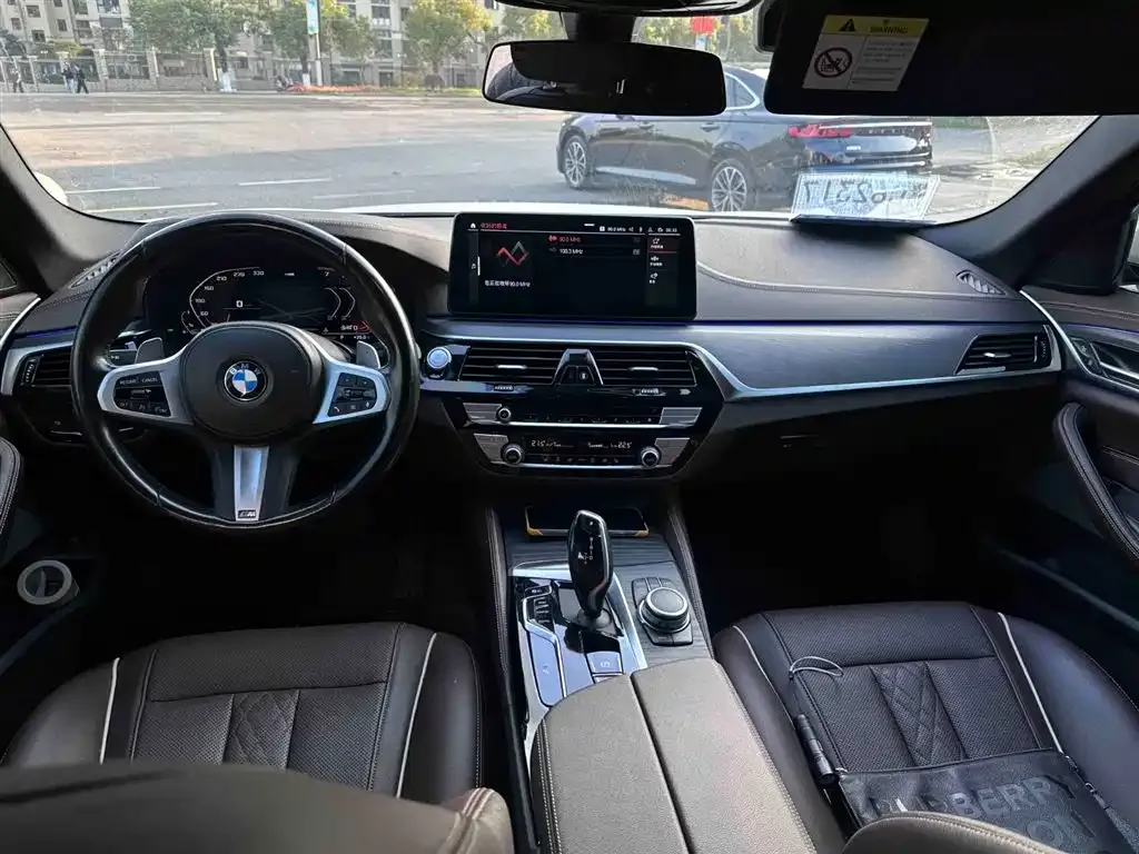 BMW 5 Series 2022 из CN, фото 5
