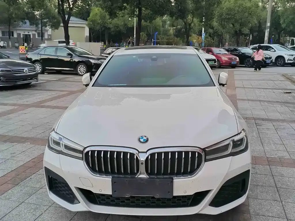 BMW 5 Series 2022 из CN, фото 7
