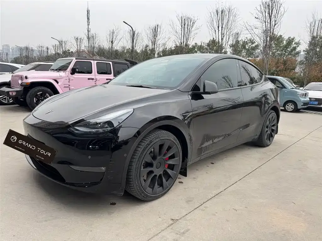 Tesla Model Y — фото 1