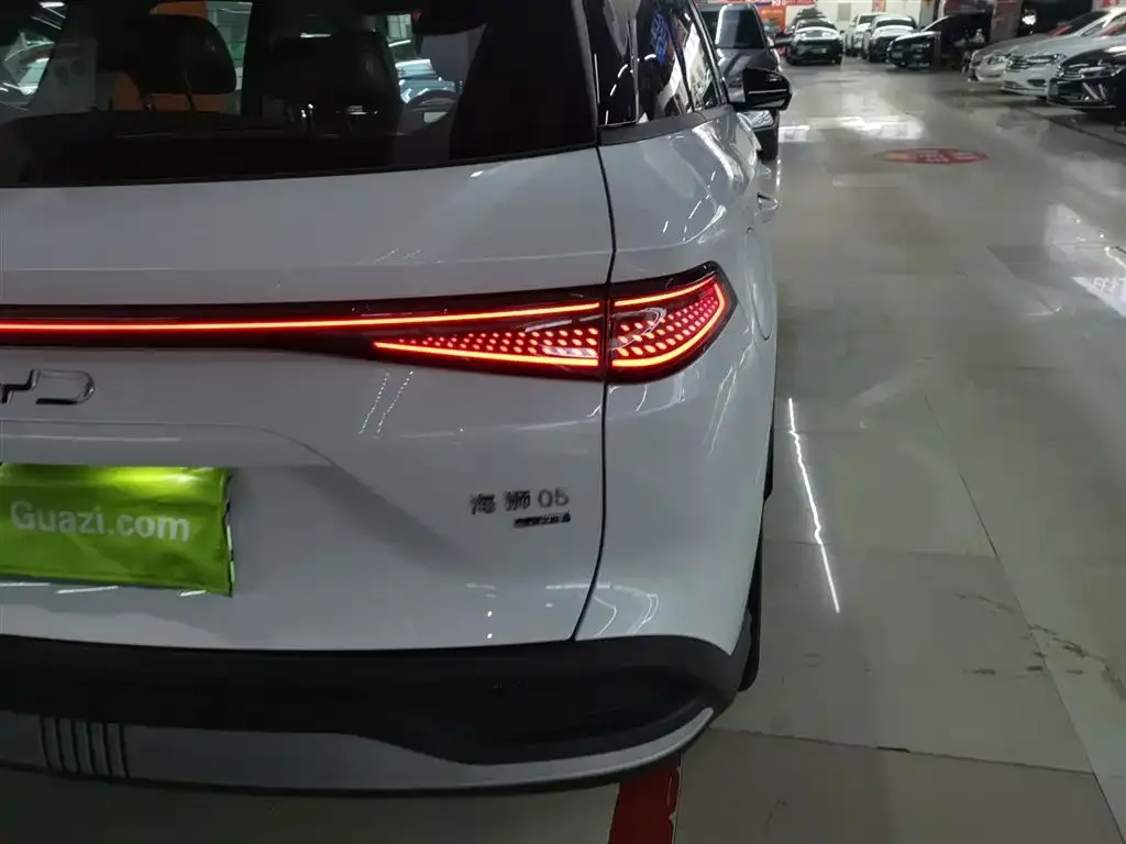BYD Seal 05 DM-i 2025 из CN, фото 8