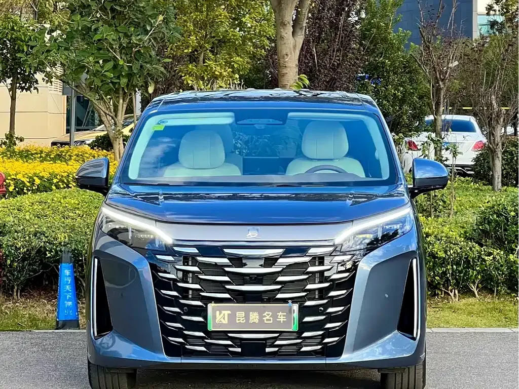 BYD Xia 2025 из CN, фото 2