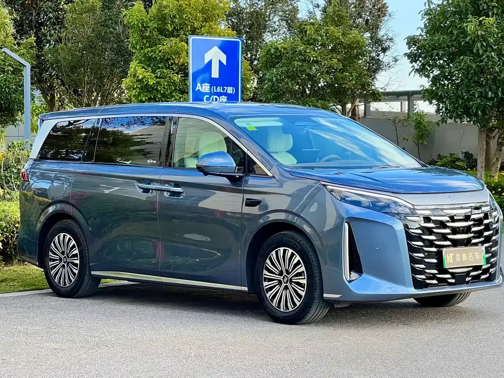 BYD Xia 2025 из CN, фото 3