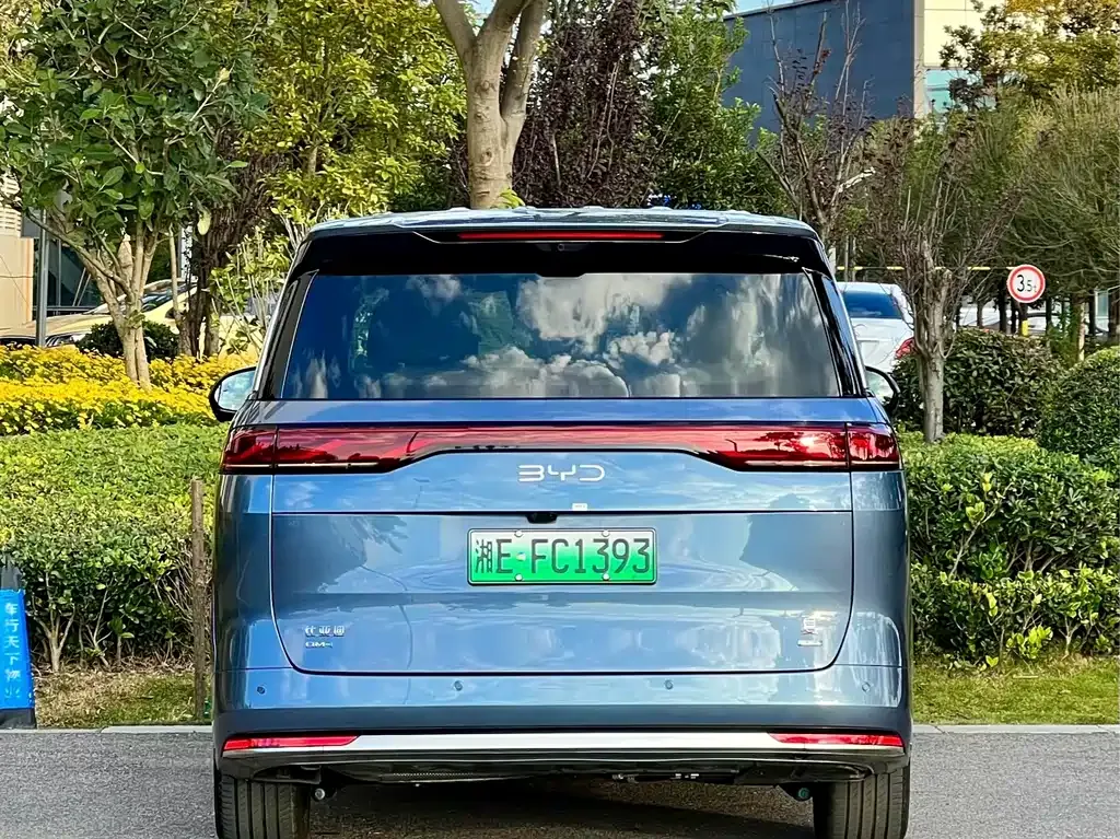 BYD Xia 2025 из CN, фото 5