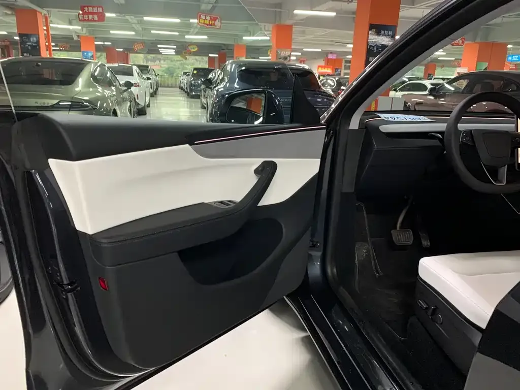 Tesla Model Y — фото 10