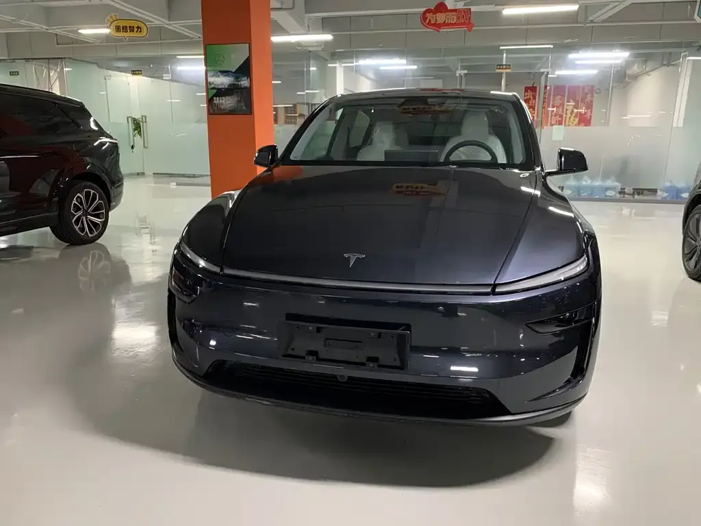 Tesla Model Y — фото 2