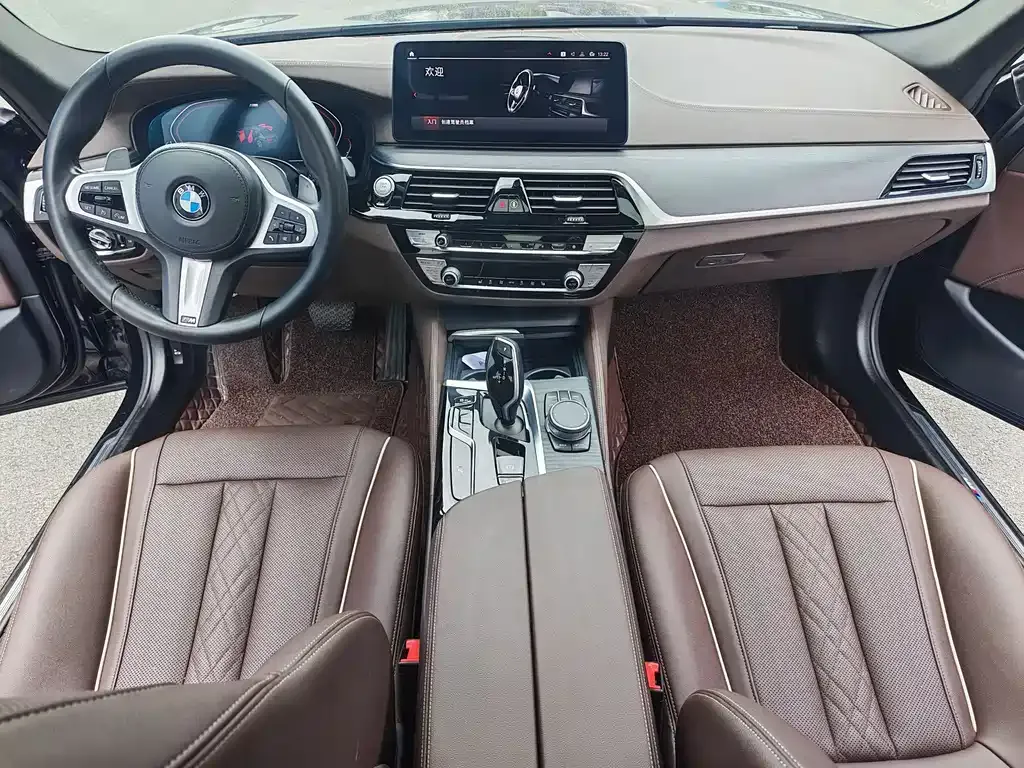 BMW 5 Series 2021 из CN, фото 10