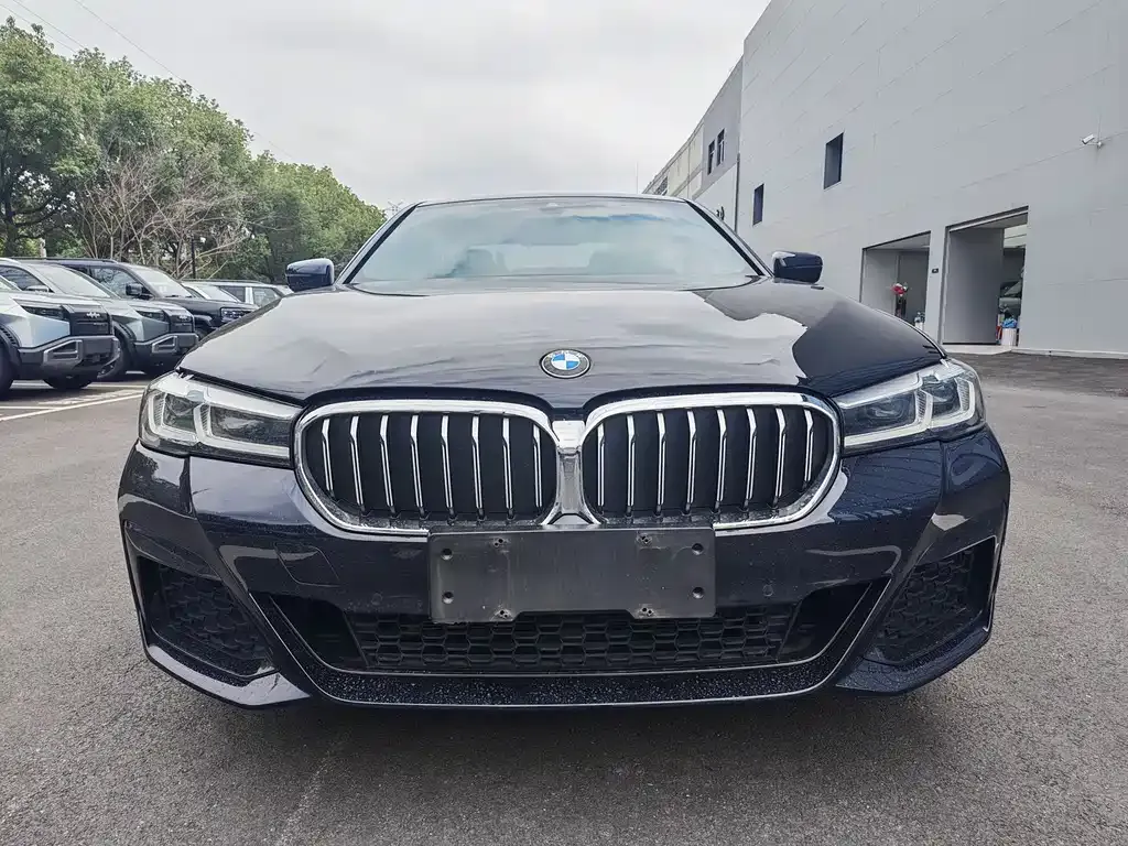BMW 5 Series 2021 из CN, фото 2