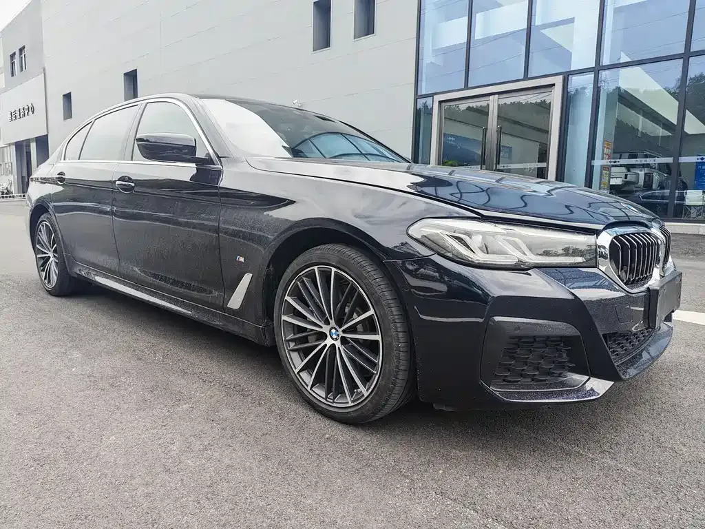 BMW 5 Series 2021 из CN, фото 3