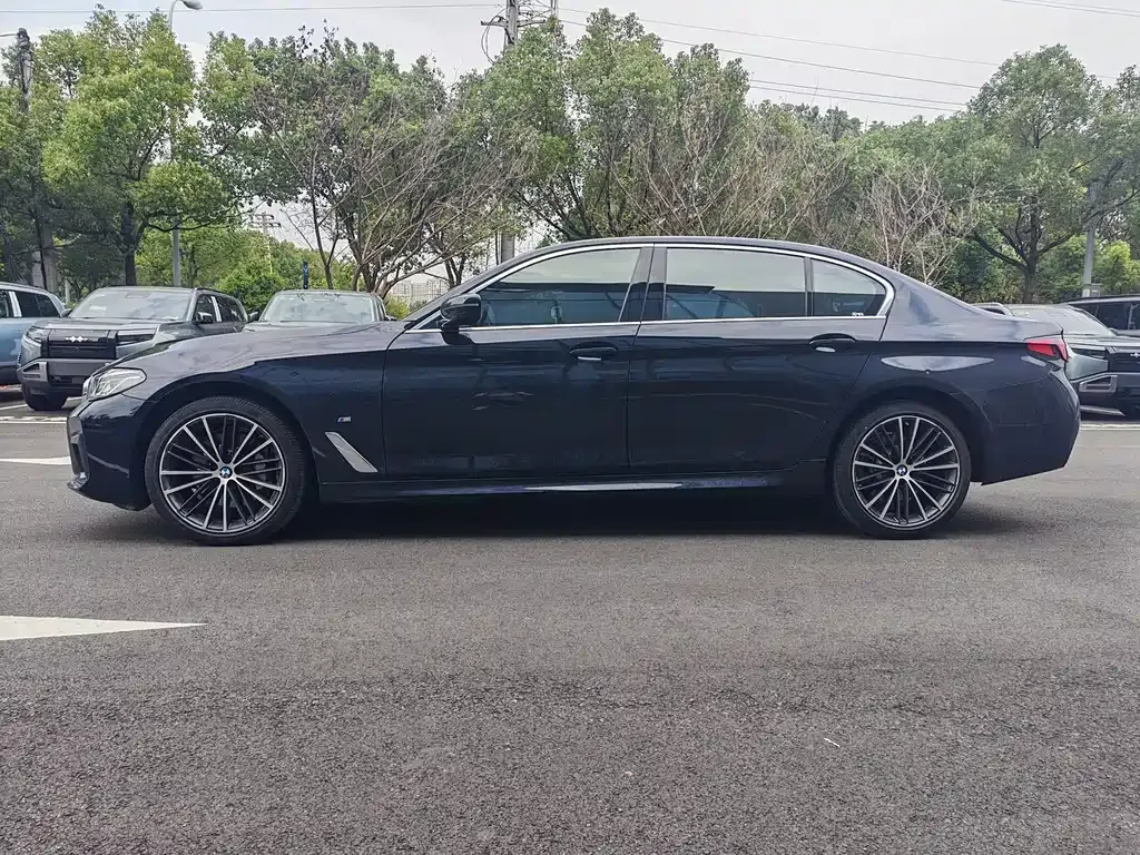 BMW 5 Series 2021 из CN, фото 4