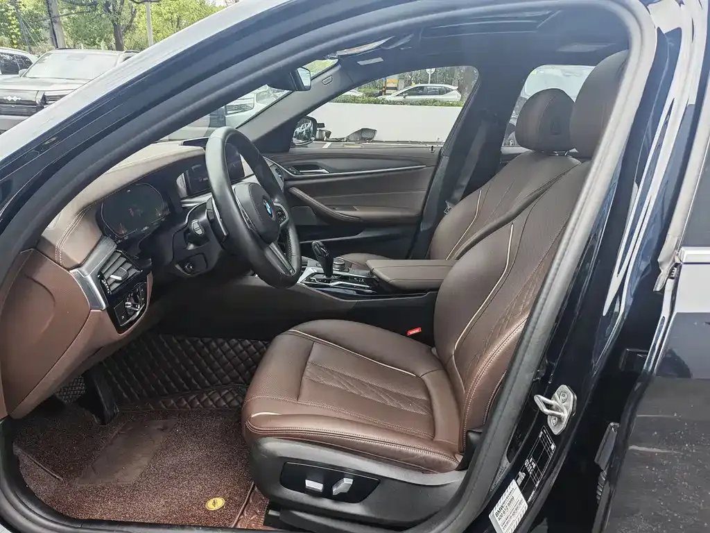 BMW 5 Series 2021 из CN, фото 7
