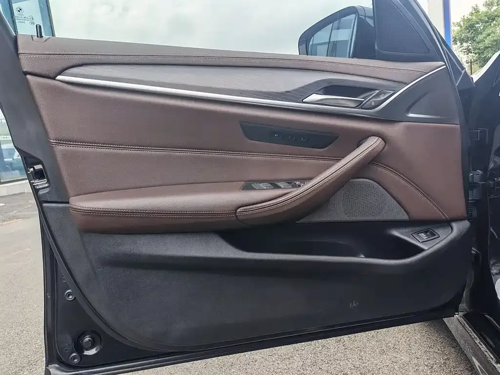 BMW 5 Series 2021 из CN, фото 8