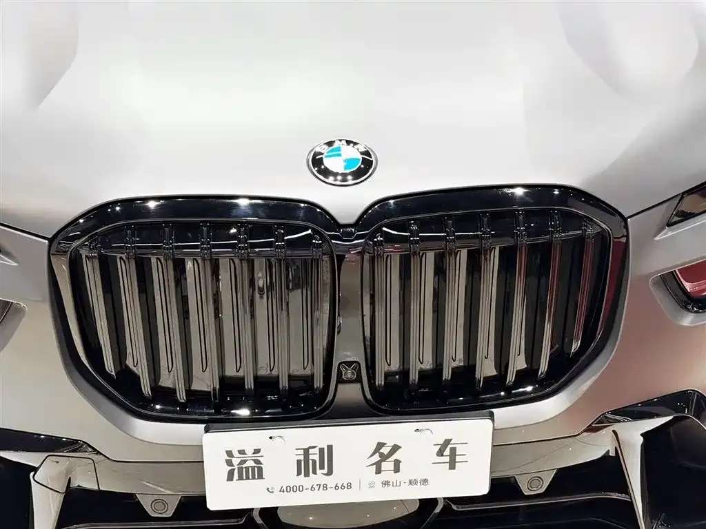 BMW X7 2023 из CN, фото 6