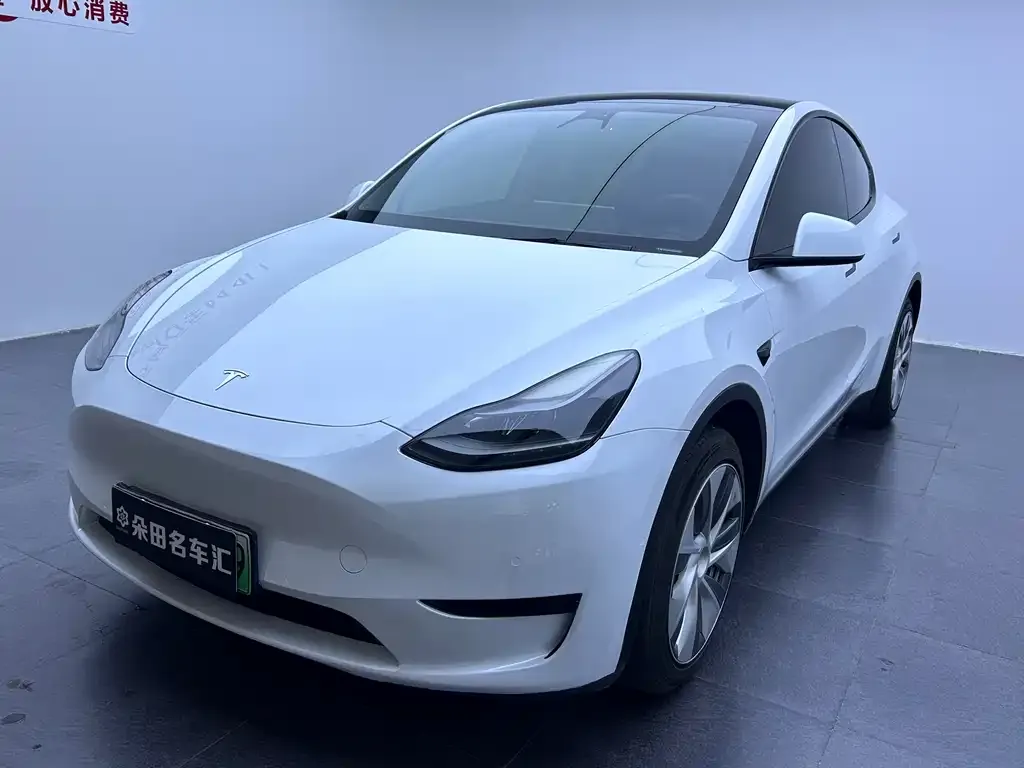 Tesla Model Y 2022 из CN, фото 1