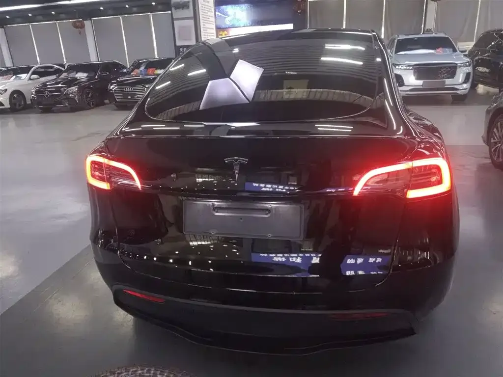 Tesla Model Y 2022 из CN, фото 6