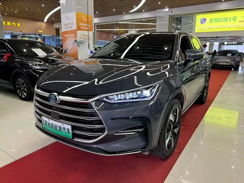BYD Tang New Energy 2023 из CN, фото 1