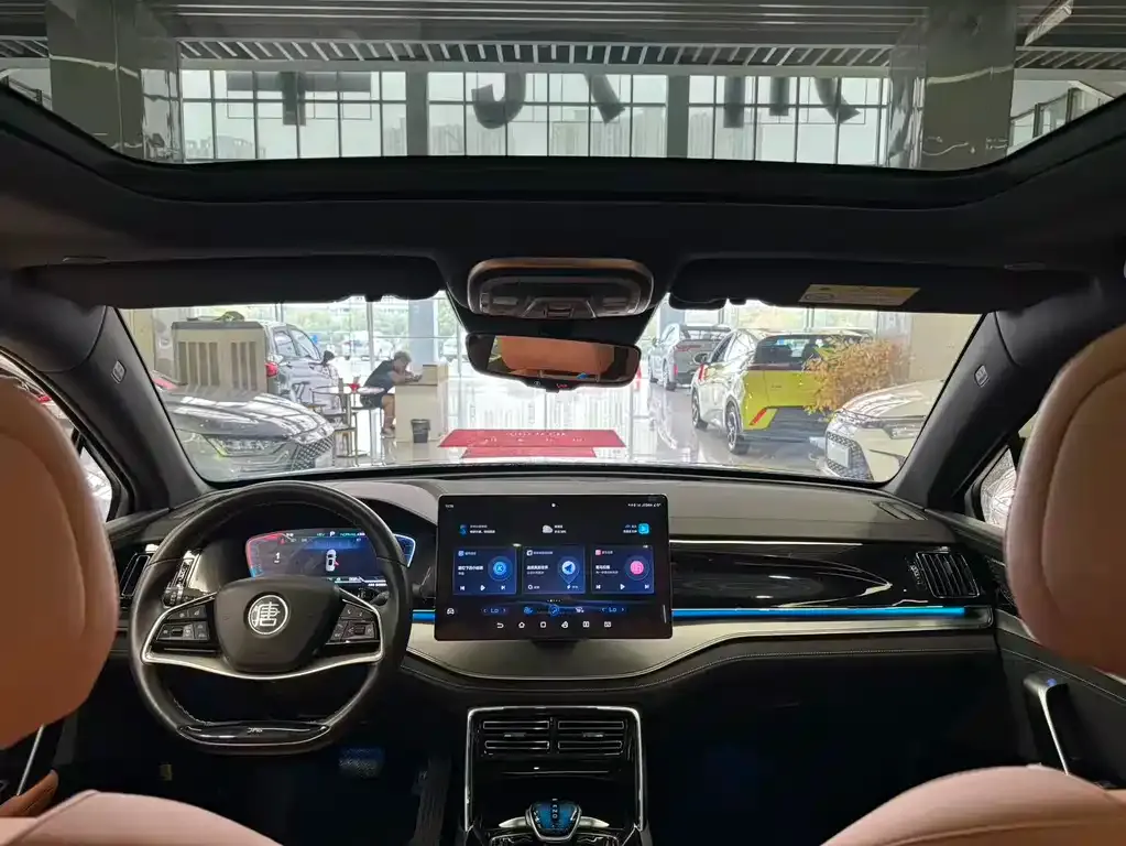 BYD Tang New Energy 2023 из CN, фото 10