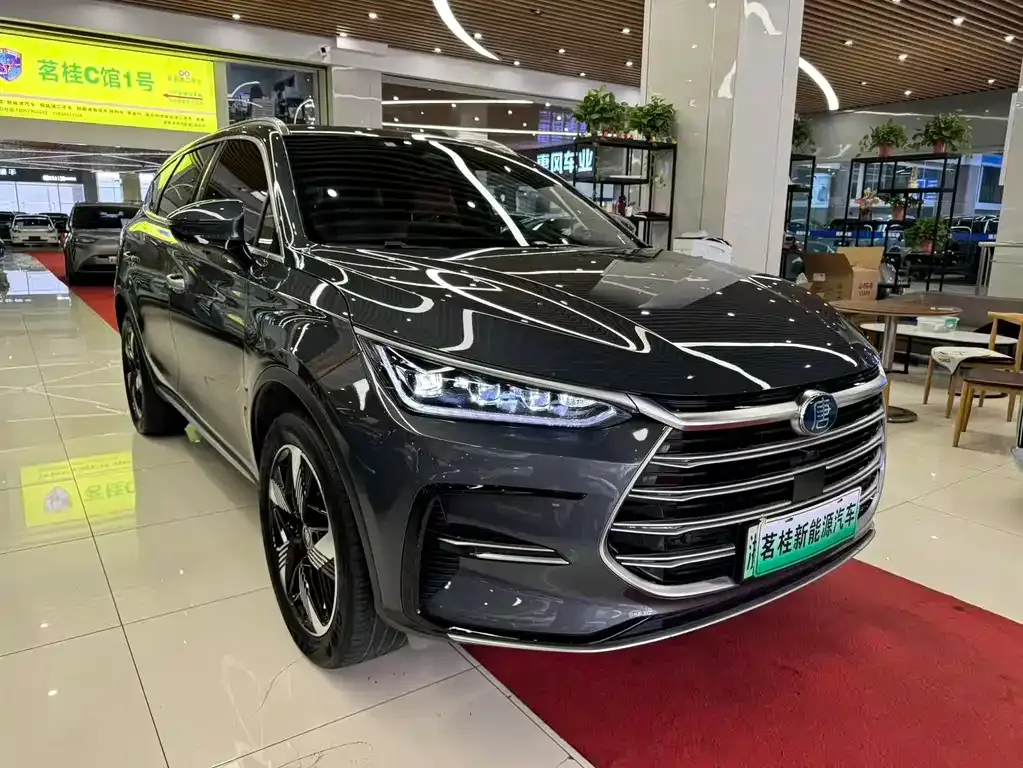 BYD Tang New Energy 2023 из CN, фото 2