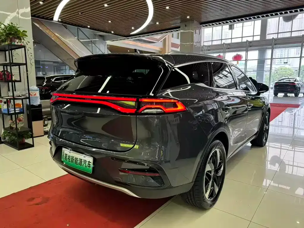 BYD Tang New Energy 2023 из CN, фото 4