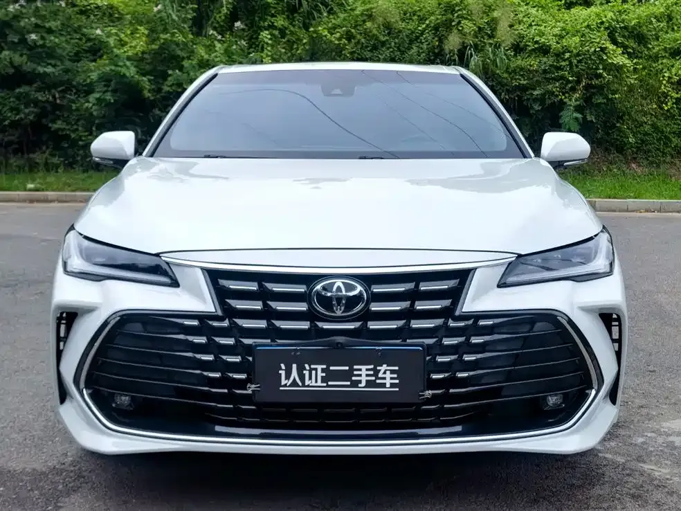 [object Object] Avalon 2022 из CN, фото 2