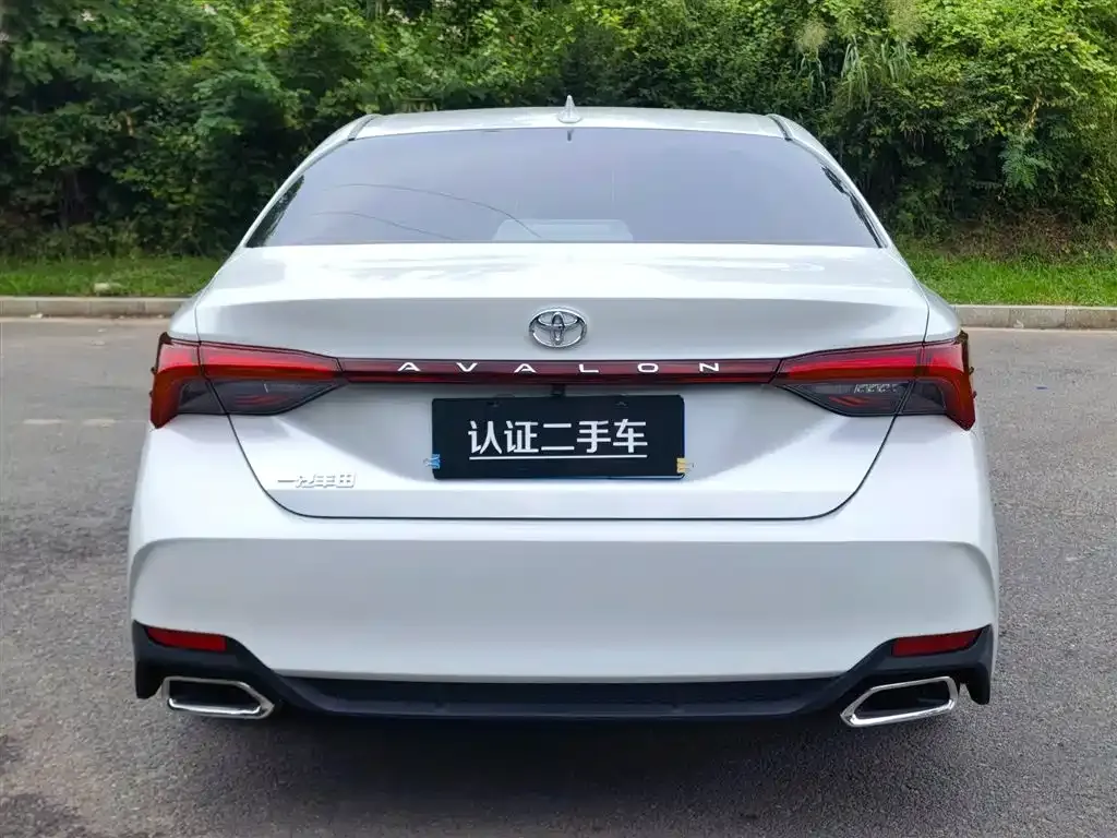 [object Object] Avalon 2022 из CN, фото 6