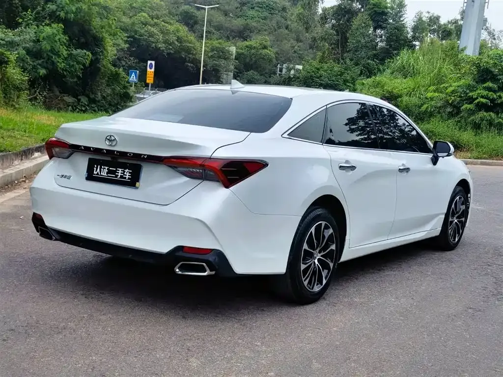 [object Object] Avalon 2022 из CN, фото 7