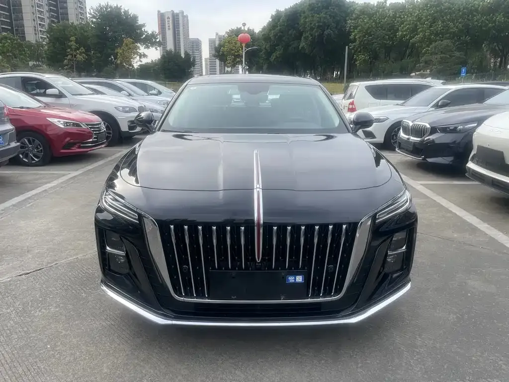Hongqi H5 2023 из CN, фото 2