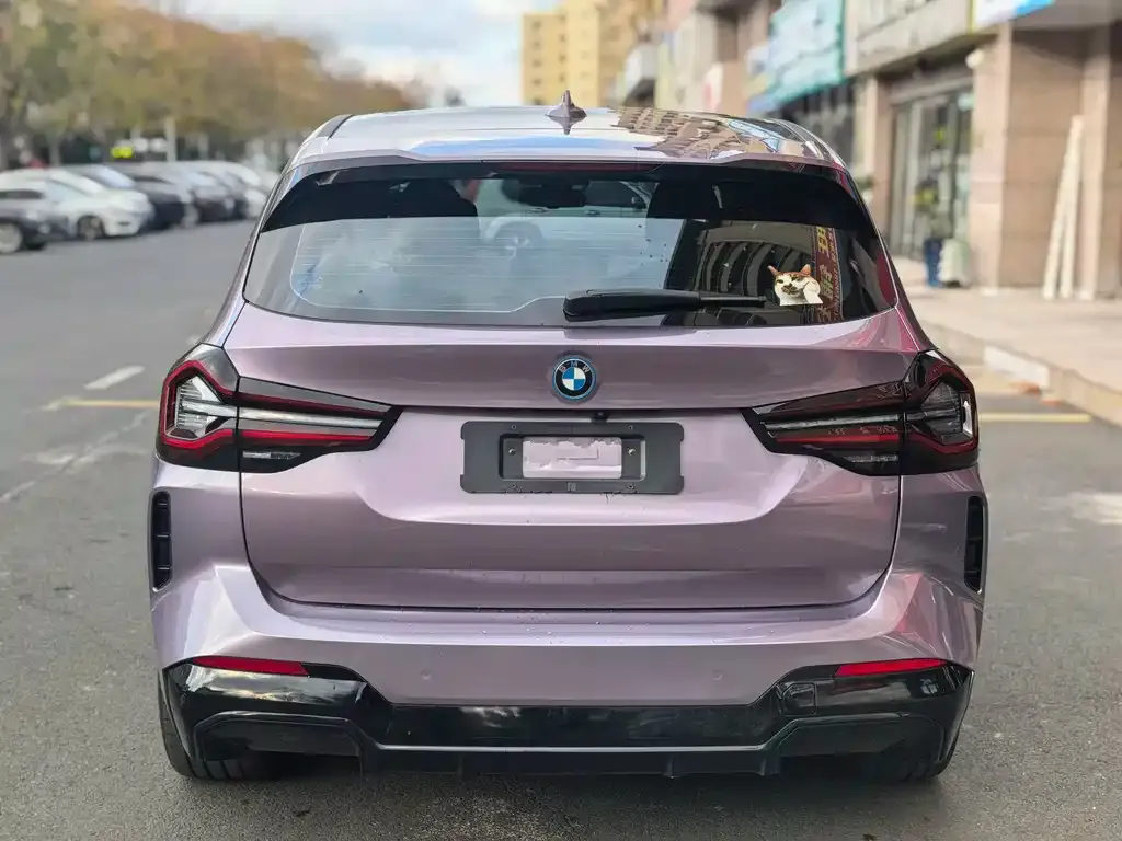 BMW iX3 2023 из CN, фото 9