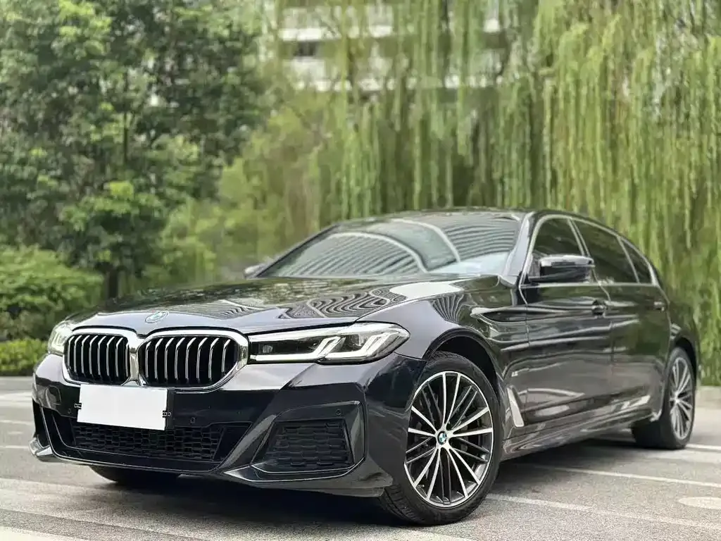 BMW 5 Series 2023 из CN, фото 1