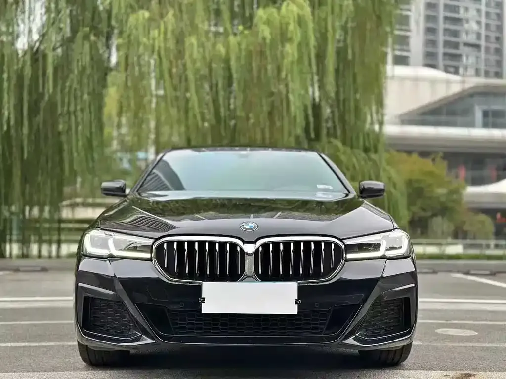 BMW 5 Series 2023 из CN, фото 2