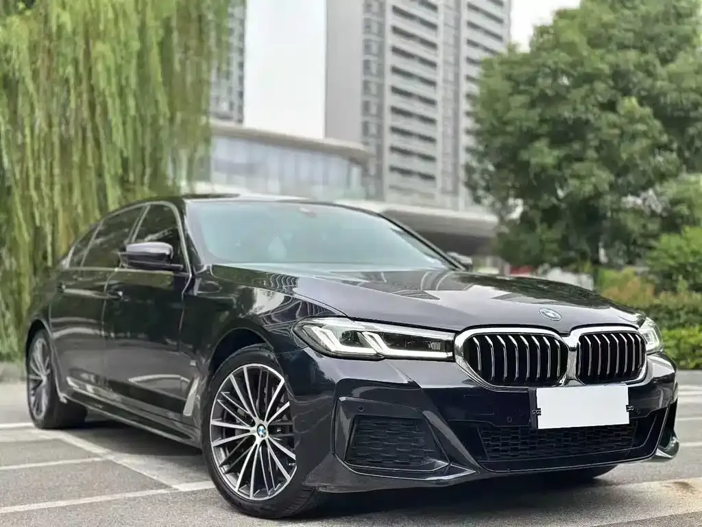 BMW 5 Series 2023 из CN, фото 3