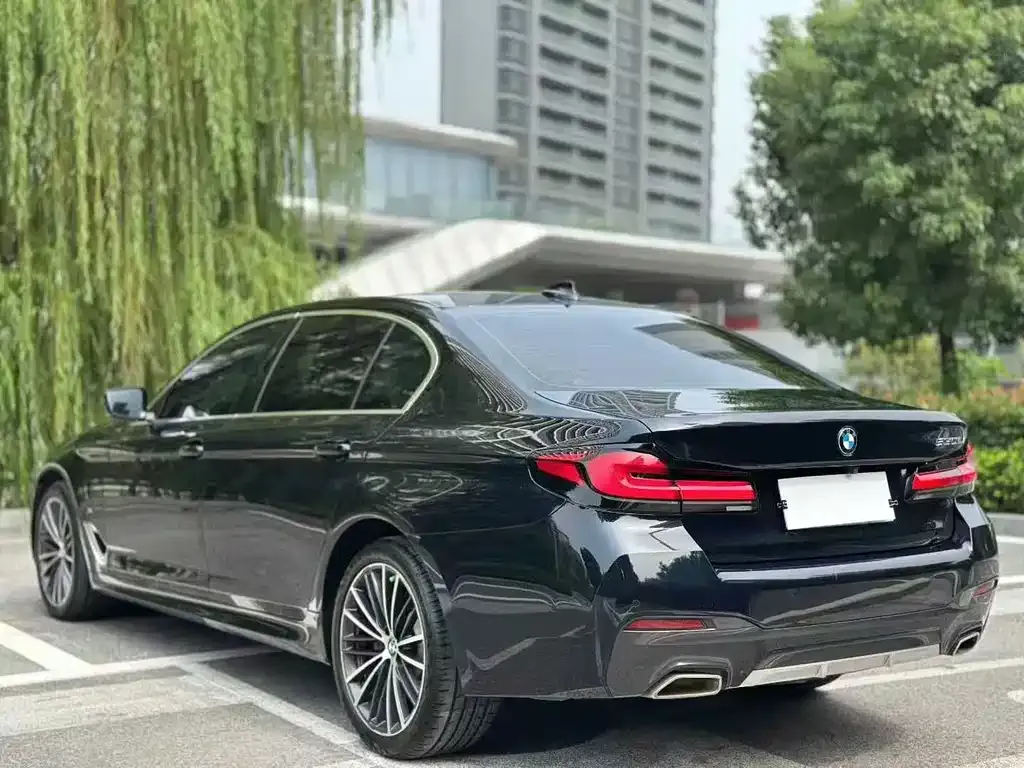BMW 5 Series 2023 из CN, фото 7