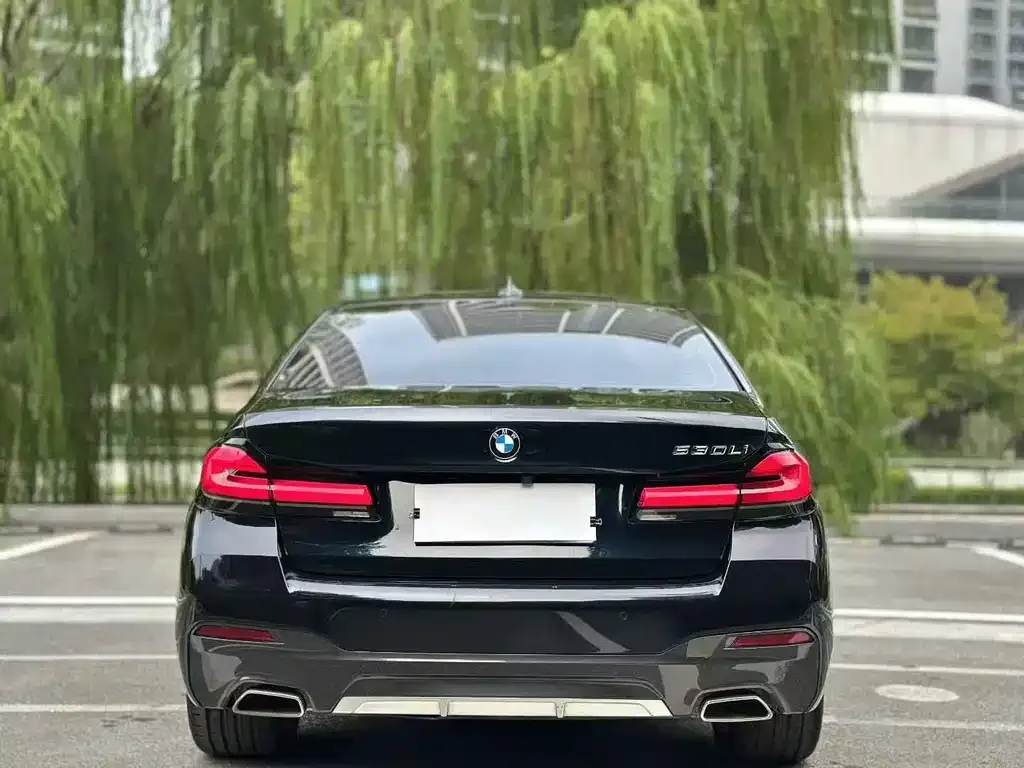 BMW 5 Series 2023 из CN, фото 8