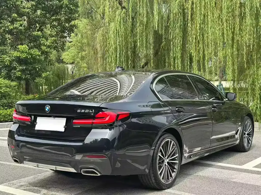 BMW 5 Series 2023 из CN, фото 9