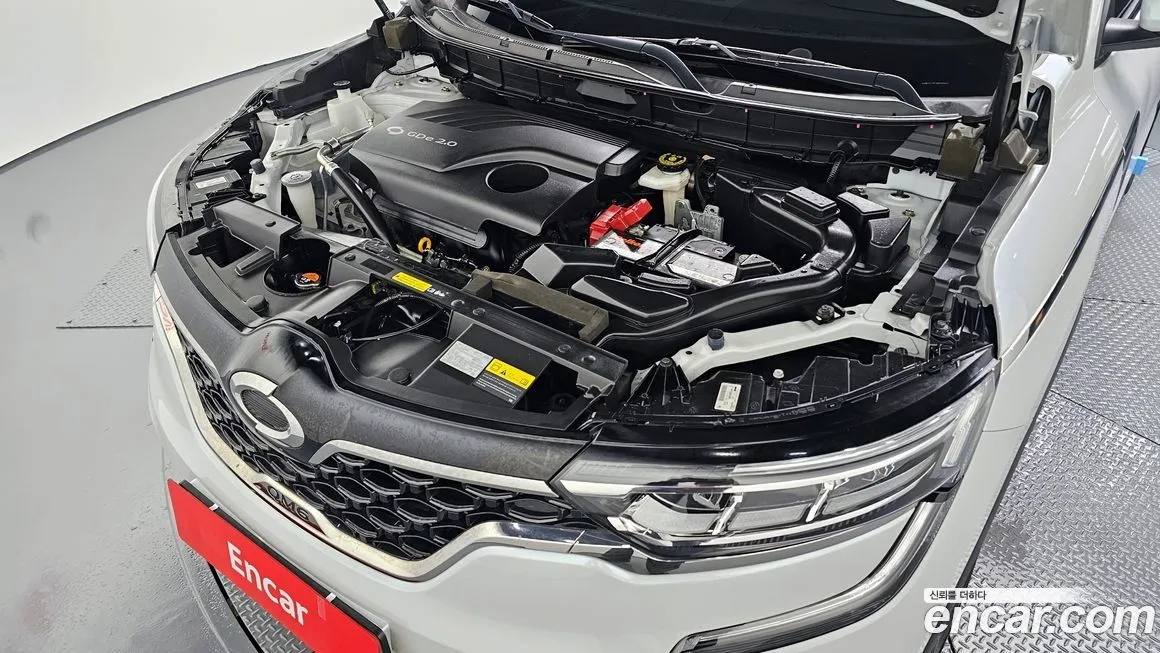 Renault Korea (Samsung) QM6 2021 из KR, фото 6