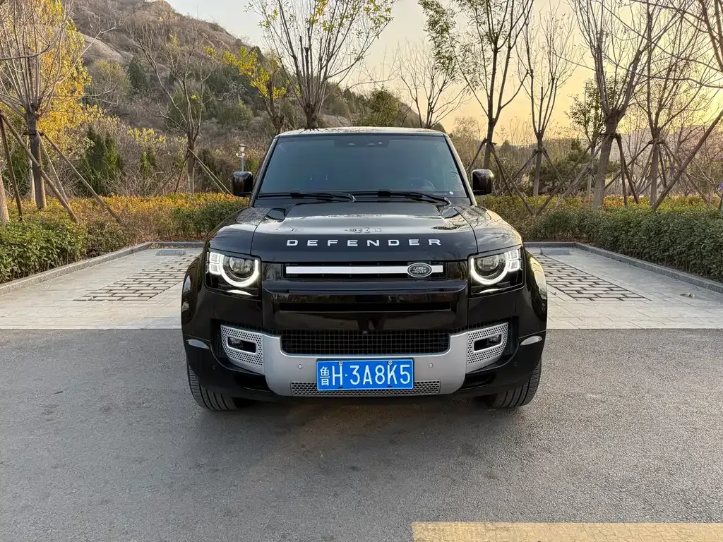 Land Rover Defender — фото 2